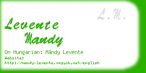 levente mandy business card